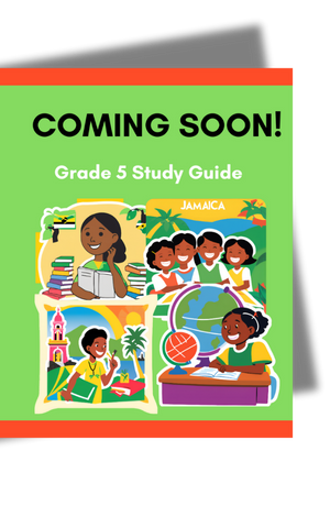 coming soon 300 x 460 study guide book cover
